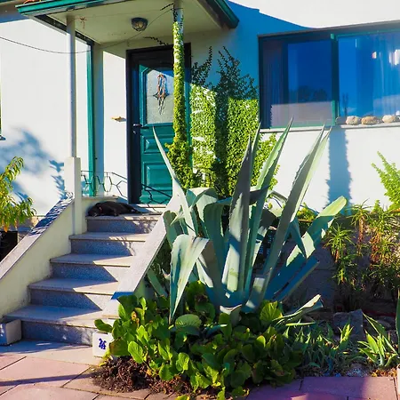 Pensionat Quinta Sarnadela - Private With Shared Kitchen *