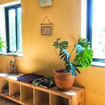 Quinta Sarnadela - Private With Shared Kitchen * Oliveira do Hospital